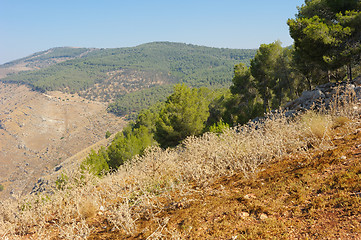 Image showing In the north of Israel 