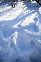 Image showing Snow angel