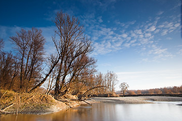 Image showing River landscape