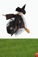 Image showing Healthy witch