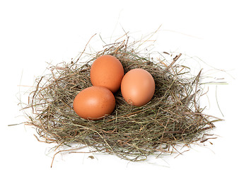 Image showing Chicken eggs in nest
