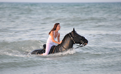 Image showing swimming horse