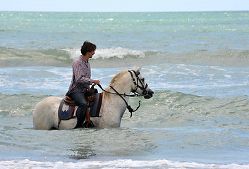 Image showing man and horse in sea