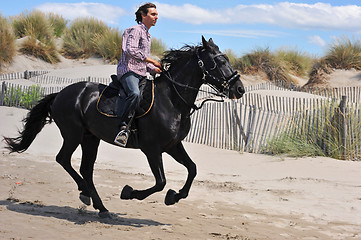 Image showing galloping stallion