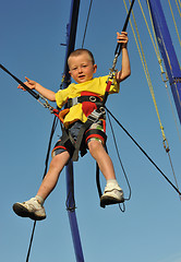 Image showing bungee jumping