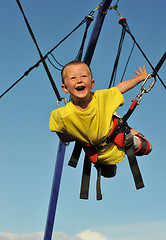 Image showing bungee jumping