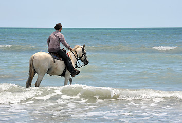 Image showing man and horse in sea