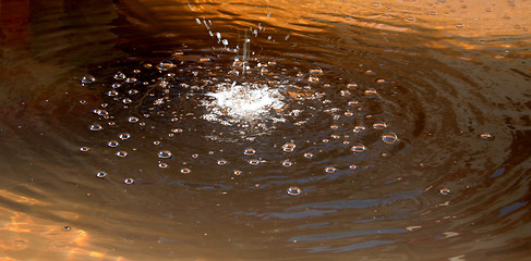 Image showing Water drops and ripples