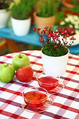 Image showing Tea served in the garden