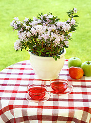 Image showing Tea served in the garden