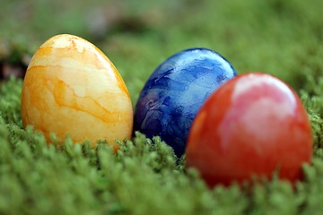 Image showing easter eggs