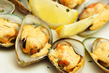 Image showing Mussels