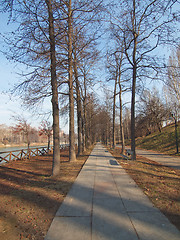 Image showing Path among trees