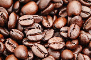 Image showing Coffee beans