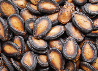 Image showing black melon seed for chinese new year