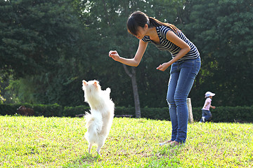 Image showing woman train her dog