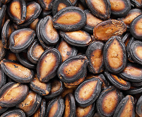 Image showing black melon seed