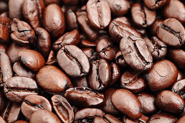 Image showing coffee bean