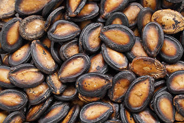 Image showing black melon seed