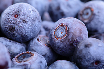 Image showing blueberry