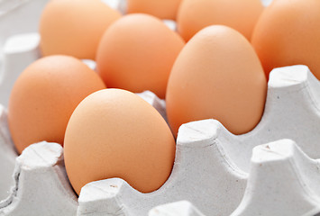 Image showing egg in box