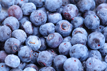 Image showing blueberry