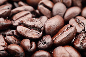 Image showing Coffee beans