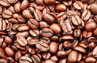 Image showing coffee bean