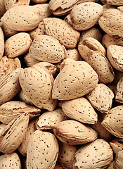 Image showing almond