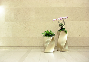 Image showing beautiful orchid in lobby