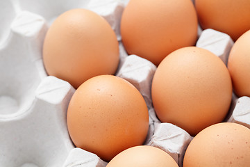 Image showing egg in box