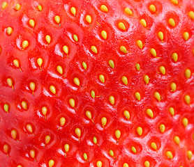 Image showing macro of strawberry texture