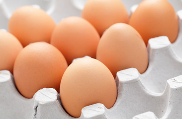 Image showing eggs in box