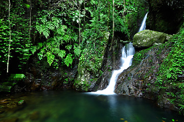 Image showing cascade in forest