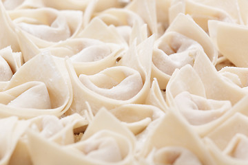 Image showing uncooked chinese meat dumpling