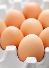 Image showing egg in box