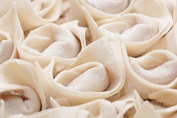 Image showing uncook chinese meat dumpling