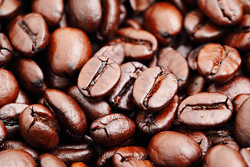 Image showing coffee bean