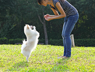 Image showing woman training her dog