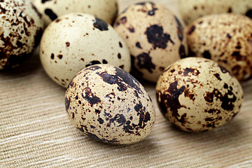 Image showing quail eggs