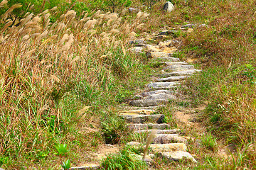 Image showing mountain path