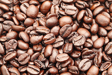 Image showing coffee bean