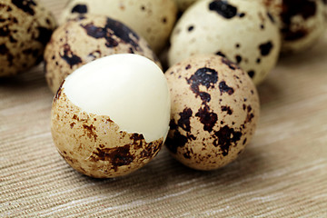 Image showing Group of quail eggs