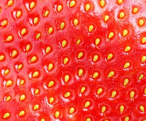 Image showing macro of strawberry texture