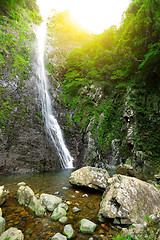 Image showing waterfall in forest