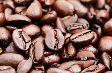 Image showing coffee beans