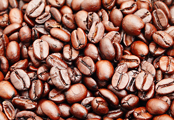 Image showing coffee bean