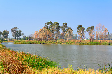 Image showing Wetland