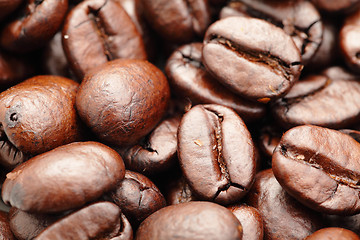 Image showing coffee bean