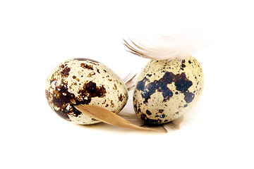 Image showing Colorful little eggs and feathers.